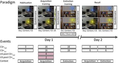 Absence of modulatory effects of 6Hz cerebellar transcranial alternating current stimulation on fear learning in men